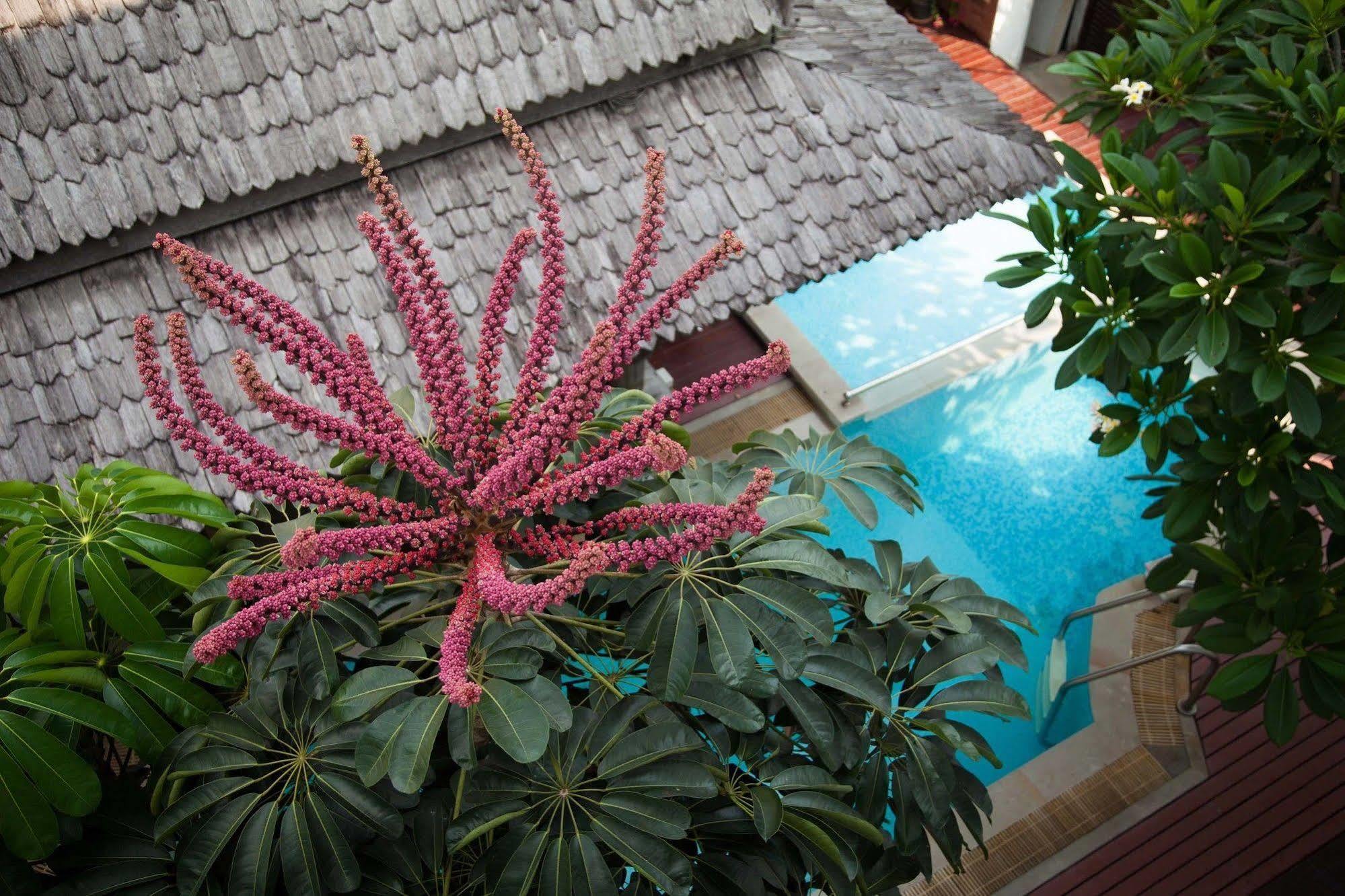 Charlie House Pin Klao Otel Bangkok Dış mekan fotoğraf